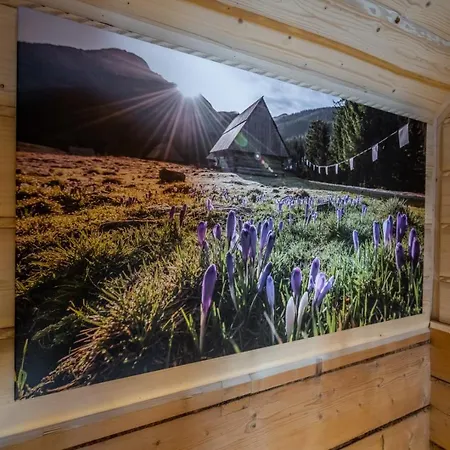 Domek U Swierkow - Apartamenty Z Aneksami I Pokoje Blisko Term Chocholowskich 乔乔洛