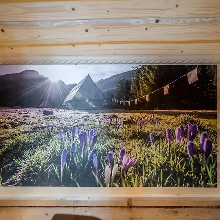 U Swierkow - I Z Aneksami Blisko Term Chocholowskich 3* Chocholow